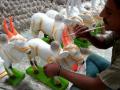 मातीचे बैल तयार करण्यास वेग - Marathi News | The speed to build the bull's bull | Latest nashik News at Lokmat.com