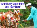 कष्टमूक सर्जा-राजाच्या ऋणांची जाण करून देणारा सण 'बैलपोळा' - Marathi News | | Latest agriculture News at Lokmat.com