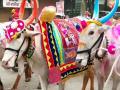 बैलपोळा स्पेशल : नैवेद्याला करा रव्याची खीर, पारंपरिक पदार्थ आणि करायला अगदी सोपा, खीर पुरी स्पेशल बेत - Marathi News | Bailpola Rava kheer Easy Recipe Bail Pola Special : Naivedya Rava Kheer, a traditional dish and very easy to make, Kheer Puri Special Bet | Latest sakhi News at Lokmat.com