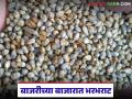 Bajari Market : थंडी वाढताच 'बाजरी'ची मार्केटमध्ये भरभराट; वाचा राज्यात कसा मिळतोय दर? - Marathi News | Bajari Market : As the cold weather sets in, Bajari is booming in the market; Read how the price is being obtained in the state? | Latest agriculture News at Lokmat.com