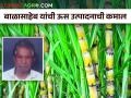 बाळासाहेब यांनी ३९ गुंठ्यांत ९४ टन ऊस उत्पादन कसे घेतले? - Marathi News | Farmer Balasaheb produced a record 94 tone of sugarcane in 39 guntha | Latest agriculture News at Lokmat.com
