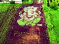 अप्रतिम; अर्ध्या एकराच्या रानात साकारली दोनशे फुटी गणरायाची प्रतिमा - Marathi News | Awesome; The image of a two-hundred-foot-tall Ganaraya in a half-acre forest | Latest solapur News at Lokmat.com