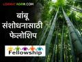 Bamboo Research : बांबू संशोधनासाठी प्रथमच नागपूरच्या विद्यार्थ्यांना १८ लाखांची फेलोशिप वाचा सविस्तर - Marathi News | Bamboo Research: latest news For the first time Nagpur students get a fellowship of 18 lakhs for bamboo research, read in detail | Latest agriculture News at Lokmat.com