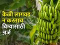 केळीचा बोगस पीक विमा; १० कोटी रुपये जप्त - Marathi News | fraud crop insurance of bananas; 10 crore seized | Latest agriculture News at Lokmat.com
