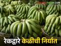 रावेरच्या केळीची रेल्वेद्वारे परराज्यात निर्यात, आठवड्यात दहा हजार टन रवाना - Marathi News | Latest News Export of Raver's bananas to other states by rail, 10 thousand tonnes per week | Latest agriculture News at Lokmat.com