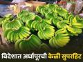 Banana demand in Shravan : यंदा केळीला परदेशी मागणी वाढली; केळीची निर्यात जोमात सुरू - Marathi News | latest news Banana demand in Shravan: Foreign demand for bananas increased this year; Banana exports are continuing in full swing | Latest agriculture News at Lokmat.com