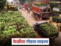 Banana Export : केळीचा गोडवा वाढला; युद्धविरामानंतर दरात दुपटीने वाढ वाचा सविस्तर - Marathi News | latest news Banana Export: Banana sweetness increased; Price doubled after ceasefire Read in detail | Latest agriculture News at Lokmat.com