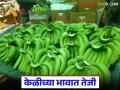 Banana Market : केळी उत्पादकांना दिलासा; महिन्यानंतर भावात मोठी उसळी वाचा सविस्तर - Marathi News | latest news Banana Market: Relief for banana producers; Big jump in prices after a month Read in detail | Latest agriculture News at Lokmat.com