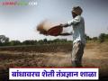 Agriculture News : इथं मिळतंय पेरणीपूर्व तयारीपासून ते काढणीपर्यंतचे तांत्रिक प्रशिक्षण, वाचा सविस्तर  - Marathi News | Latest News Here you can get technical training from pre-sowing preparation to harvesting, read in detail | Latest agriculture News at Lokmat.com