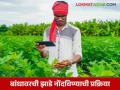 पीक पाहणी ॲपवर दोन मिनिटांत करा बांधावरील झाडांची नोंद, अशी आहे सोपी पद्धत! - Marathi News | Latest News e pik pahni Record trees on farm in two minutes on Crop Inspection app | Latest agriculture News at Lokmat.com