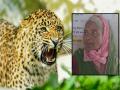 Satara News: शेतात काम करताना बिबट्याचा हल्ला, महिला जखमी - Marathi News | Woman attacked by leopard lurking in the forest in banpuri satara | Latest satara News at Lokmat.com