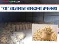 Soybean Market : सोयाबीन खरेदीतील अडथळा दूर; बारदाना उपलब्ध! - Marathi News | Soybean Market: Obstacles in soybean purchase removed; Bardana available! | Latest agriculture News at Lokmat.com