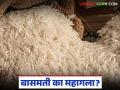 Basmati Rice Market : बासमती तांदळाचा भाव का वाढला? जाणून घ्या काय आहे कारण - Marathi News | latest news Basmati Rice Market: Why has the price of basmati rice increased? Know what is the reason | Latest agriculture News at Lokmat.com