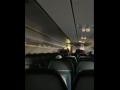 Video : विमानात वटवाघूळ शिरतं तेव्हा... - Marathi News | Bat terrorizes travellers inside a flight, incident captured on camera | Latest social-viral News at Lokmat.com
