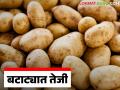 Batata Bajar Bhav : चाकण बाजार समितीत बटाट्याचा भाव वाढला: कसा मिळतोय दर? - Marathi News | Batata Bajar Bhav : Potato prices increased in Chakan Market Committee: How are prices being obtained? | Latest agriculture News at Lokmat.com