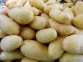 Hair Care: केस वाढतच नाहीत? 3 प्रकारे लावा बटाट्याचा रस, बघा कमाल - Marathi News | Hair Care: Use potato Juice for Hair growth.Its natural and effective remedy | Latest sakhi News at Lokmat.com