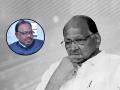 Sharad Pawar vs BJP: "राष्ट्रवादी काँग्रेस फोडण्याची गरज नाही, नेतृत्वावरील नाराजीमुळे तो पक्ष स्वतःहूनच बुडेल" - Marathi News | Sharad Pawar led NCP and other alliances will fall apart due to lack of leadership qualities slams BJP Chandrashekhar Bawankule | Latest maharashtra News at Lokmat.com