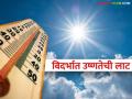 heat wave:सावधान! विदर्भात उष्णतेची लाट, तापमानाचा पारा ४२ ते ४५ अंशावर - Marathi News | heat wave: Caution! Heat wave in Vidarbha, mercury at 42 to 45 degrees | Latest agriculture News at Lokmat.com