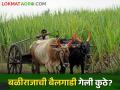 बैलगाडी होतेय नामशेष; कारागीर झाले बेरोजगार - Marathi News | Bullock cart are becoming extinct; Craftsmen became unemployed | Latest agriculture News at Lokmat.com