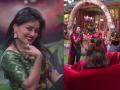 Bigg Boss Marathi 3, Episodes, 09 Dec: सोनाली आणि मीनलचा भन्नाट डान्स - Marathi News | Bigg Boss Marathi 3, Episodes, 09 Dec: Sonali and Meenal's Abandoned Dance | Latest filmy News at Lokmat.com