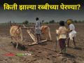 Rabi Sowing : गहू, ज्वारी, मका अन् हरभरा! राज्यात आत्तापर्यंत किती झाल्या रब्बीच्या पेरण्या? - Marathi News | Rabi Sowing How many rabi sowings have been done in the state so far? | Latest agriculture News at Lokmat.com
