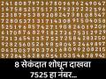 चॅलेंज! जीनिअस असाल तर 8 सेकंदात शोधून दाखवा 7525 नंबर, जास्तीत जास्त झाले फेल! - Marathi News | Optical Illusion : IF You Have Sharpest Vision Then Spot The Number 7525 In 8 Seconds! | Latest social-viral News at Lokmat.com
