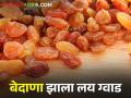 शेतकऱ्यांना बेदाण्याने दिली साथ; मिळतोय उच्चांकी बाजारभाव - Marathi News | Raisins supported the farmers; Getting the highest market price | Latest agriculture News at Lokmat.com