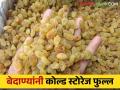Bedana Market: यंदा राज्यात २ लाख टन बेदाणा पडून माल ठेवायलाही जागा नाही - Marathi News | Bedana Market: This year, 2 lakh tones of grape raisin storage in the state and there is no place to store raisin cold storage full | Latest agriculture News at Lokmat.com