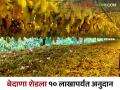 Bedana Anudan : कांदा चाळीप्रमाणे बेदाण्याचे मशीन व शेड बांधकामासाठी मिळणार अनुदान - Marathi News | Bedana Anudan : Subsidy will be available for raisin making machine and shed construction | Latest agriculture News at Lokmat.com