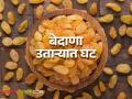 प्रतिकूल हवामानाने बेदाणा उताऱ्यात एकरी दोनऐवजी एक ते दीड टन उत्पादन - Marathi News | One to one and a half ton raisins production per acre instead of two per acre due to adverse weather conditions | Latest agriculture News at Lokmat.com