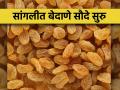 सांगलीत बेदाण्याला प्रतिकिलो १०० ते १८० रुपये भाव - Marathi News | Currant price raisins in sangli is Rs 100 to 180 per kg | Latest agriculture News at Lokmat.com
