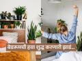उन्हाळ्यातल्या प्रचंड उकाड्यात बेडरुममध्ये ठेवा ‘ही’ झाडं, खोली होईल गार आणि हवा शुद - Marathi News | These trees will keep the bedroom cool in the heat, the air will be pure | Latest sakhi News at Lokmat.com