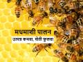मधमाशीपालनातून उद्योजक व्हा आणि वाढवा शेतीचे उत्पादनही - Marathi News | maharashtra agriculture farmer based side business honey Beekeeping agro based industry | Latest agriculture News at Lokmat.com