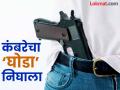 बीडमध्ये कंबरेला ‘घोडा’ लावून चमकोगिरी करणाऱ्यांना लगाम; १८३ जणांचे परवाने रद्द - Marathi News | In Beed, those who flaunt their 'gun' around their waists were put under control; Licenses of 183 people were cancelled | Latest beed News at Lokmat.com