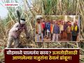 Beed: महिनाभर ऊस तोडून घेतला, पैसे मागताच डांबलं; मजुरांकडूनच घेतले 28000 हजार - Marathi News | 16 workers of mp hostage in beed kept captive for a month release after taking money | Latest beed News at Lokmat.com