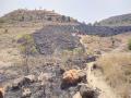 बीडच्या सह्याद्री-देवराईत दोन एकरांतील गवताला आग; झाडे सुरक्षित - Marathi News | Grass fire in two acres in Sahyadri-Devarai of Beed; Plants safe | Latest beed News at Lokmat.com