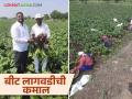 Farmer Sucess Story : नोकरीच्या मागे न लागता या तरुणाने बीट शेतीत नशीब अजमावलं पुढं काय झालं वाचा सविस्तर - Marathi News | Farmer Success Story : He tried his luck in beetroot farming without looking for a job, read what happened next in detail | Latest agriculture News at Lokmat.com