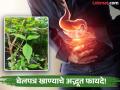 उपाशीपोटी बेलपत्र खाण्याचे फायदे वाचाल, तर देवाला वाहण्यासोबतच रोज स्वत:ही खाल! - Marathi News | Benefits of eating belpatra on an empty stomach in the morning | Latest health News at Lokmat.com