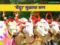 Bendur - Pola Festival: सर्जा-राजा'च्या उत्सव बेंदूर कसा साजरा केला जातो जाणून घ्या सविस्तर - Marathi News | Bendur - Pola Festival: Know in detail how the festival of bendur celebrated for Bullocks | Latest agriculture News at Lokmat.com
