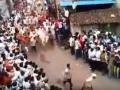 बेंदूर सणानिमित्त बैलजोडीची मिरवणूक - Marathi News | Bendur festival News | Latest kolhapur Videos at Lokmat.com