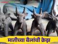 आला बेंदूर.. मुळाच्या सणाला मातीच्या बैलांचे महत्व - Marathi News | Bendur festival is coming .. Importance of mud bullocks in bendur festival | Latest agriculture News at Lokmat.com