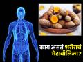 शरीराचं मेटाबॉलिज्म कमी झालं तर शरीरात वाढते चरबी, लगेच करा 'हे' खास उपाय! - Marathi News | What is Metabolism? These foods help you stay increase metabolism and keep you active | Latest health News at Lokmat.com