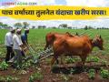 Maharashtra Farming : मागील पाच वर्षांच्या तुलनेत यंदाचा खरीप हंगाम सरसच! पेरणी क्षेत्र वाढले - Marathi News | | Latest agriculture News at Lokmat.com