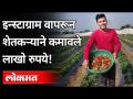 सोशल मीडियामुळे शेतकऱ्याने कमावले लाखो रुपये | Farmer earned lakhs of rupees using social media - Marathi News | Farmers earn lakhs of rupees due to social media | Farmer earned lakhs of rupees using social media | Latest maharashtra Videos at Lokmat.com