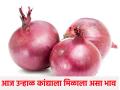 onion market today:आज राज्यात ३८ हजार ७८४ क्विंटल कांद्याची झाली आवक, पहा बाजारभाव - Marathi News | | Latest agriculture News at Lokmat.com