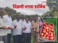 Agriculture News : विक्रमी उत्पन्न देणाऱ्या डाळिंब बागेची पाहणी - Marathi News | Agriculture News : Inspection of record yielding pomegranate orchards | Latest agriculture News at Lokmat.com