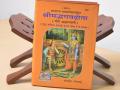 ‘भगवद्गीता’ची हस्तलिखितांचा युनेस्कोच्या ‘जागतिक स्मृती रजिस्टर’मध्ये समावेश - Marathi News | Manuscripts of 'Bhagavad Gita' included in UNESCO's 'Memory of the World Register' | Latest national News at Lokmat.com