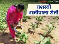 Vegetable Farming : अडीच हेक्टरवर भाजीपाला शेती, एकरवर आंबा लागवड, वर्षाला लाखोंचं उत्पन्न मिळतंय!  - Marathi News | Latest News Vegetable farming Income of lakhs of rupees from vegetable farming by women farmer | Latest agriculture News at Lokmat.com