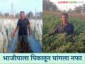 Farmer Success Story : अवघ्या सातवी पास विनोदने भाजीपाला शेतीतून भरघोस उत्पन्न मिळवलं, वाचा सविस्तर - Marathi News | Latest News Farmer Success Story seventh pass Vinod selokar earned huge income from vegetable farming, read in detail | Latest agriculture News at Lokmat.com