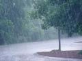 Pune Rain: बळीराजा सुखावला! भामा आसखेड परिसरात जोरदार पाऊस - Marathi News | Heavy rain in Bhama Askhed area pune rail latest update | Latest pune News at Lokmat.com